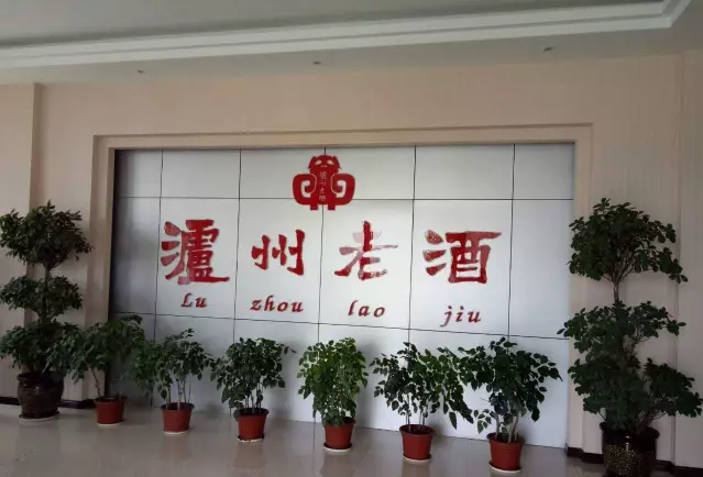 1651117338763061.png 1510802614860786.png