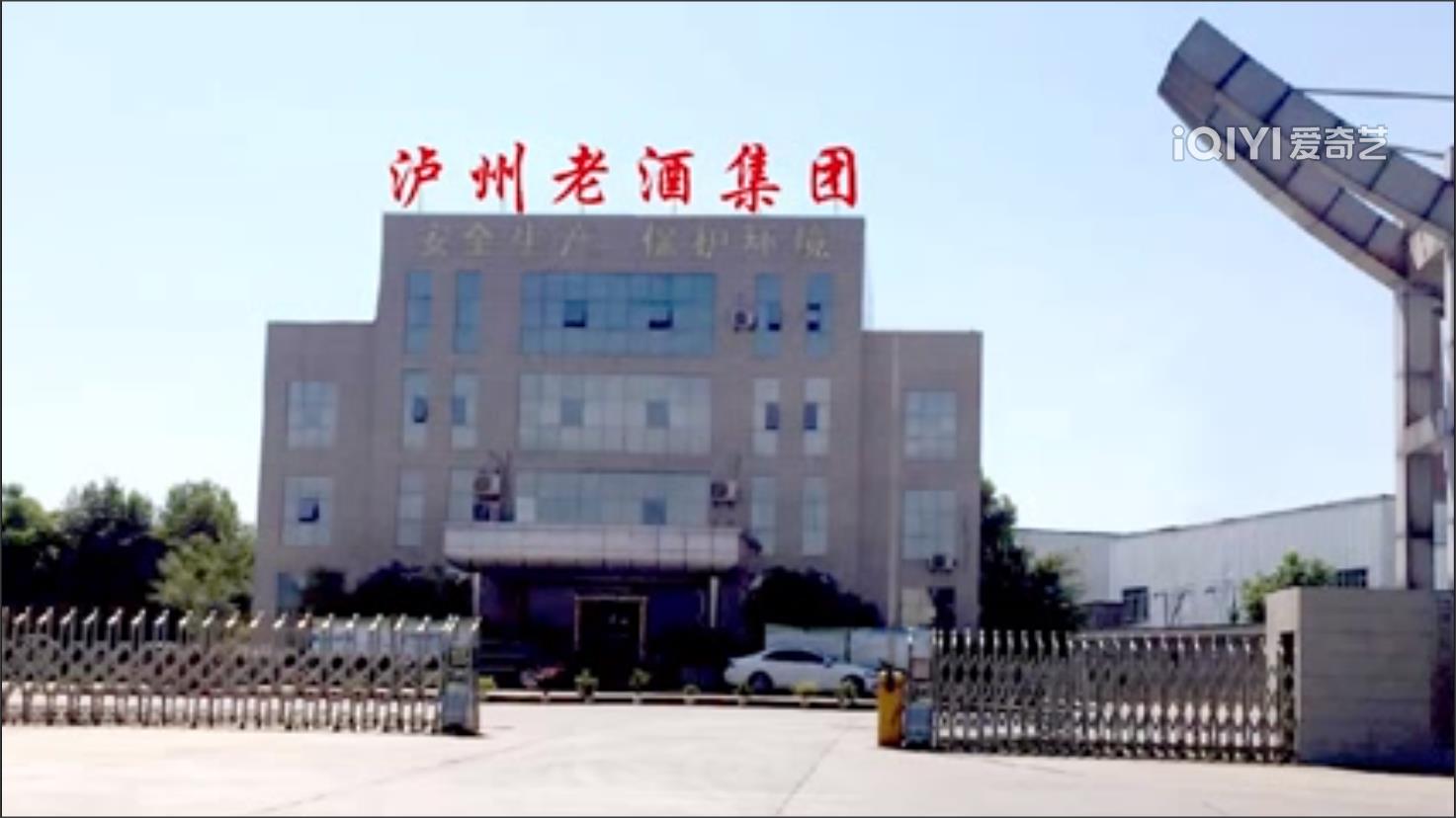 奇异果官网入口